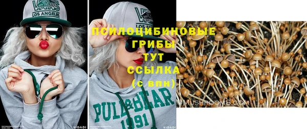 ECSTASY Балабаново