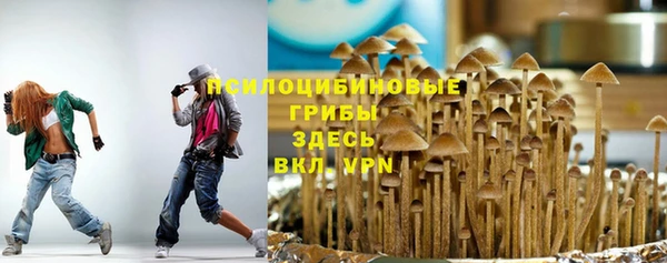apvp Баксан