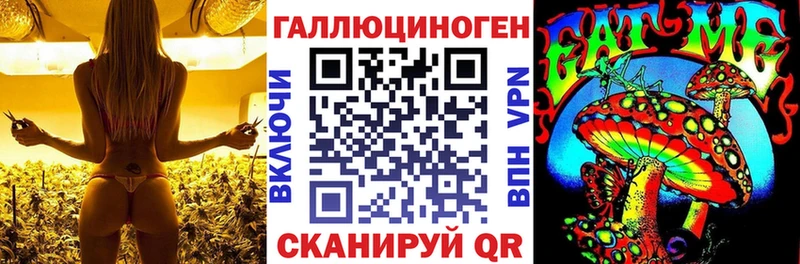 цена   Верхотурье  Галлюциногенные грибы Psilocybine cubensis 